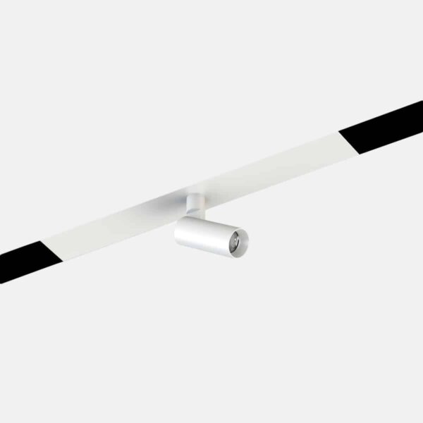 Minifile sistema - Spot Focus 21S