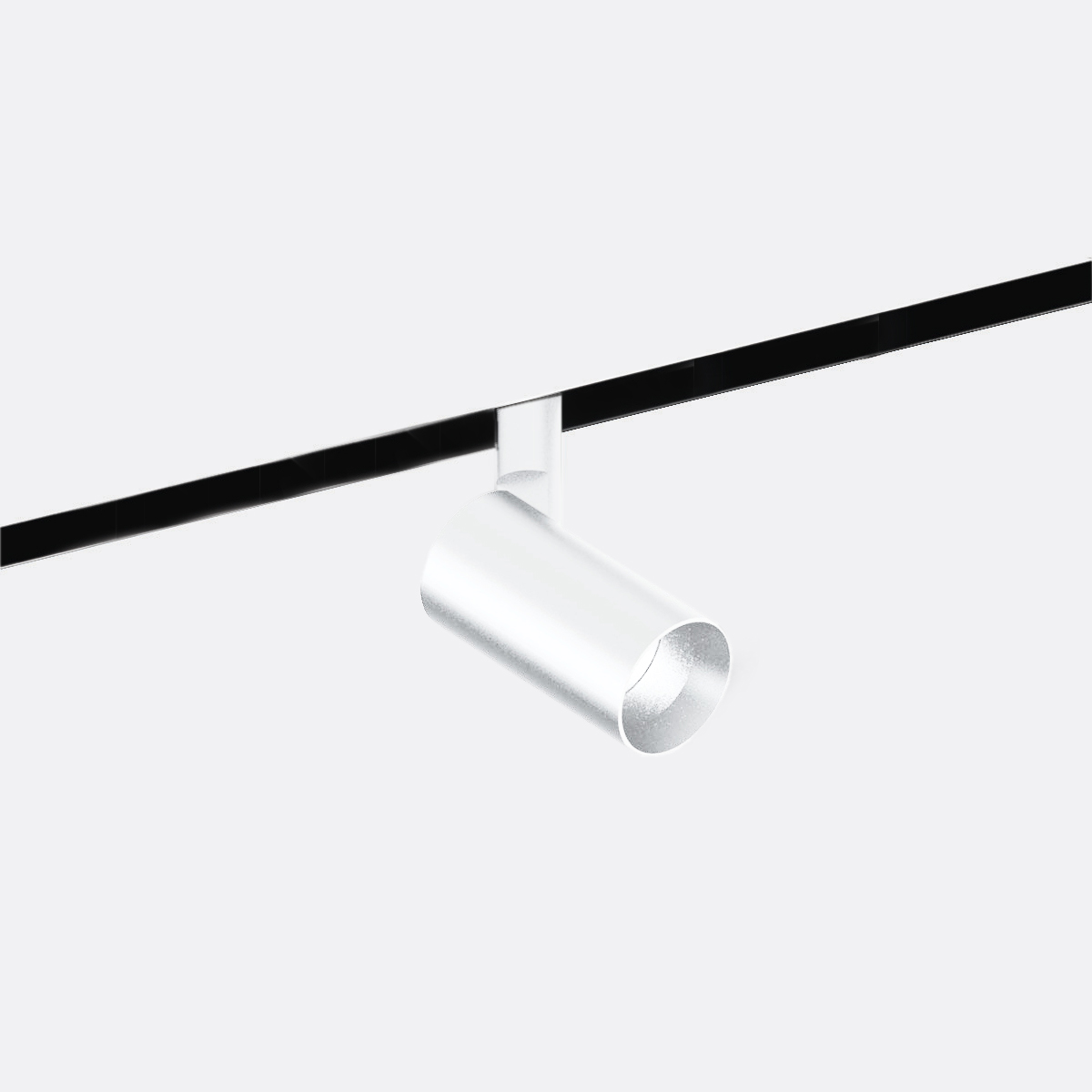 Mini Track - Focus T36 arretrato